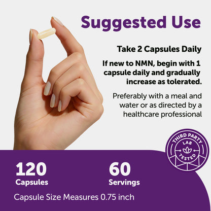 Micro Ingredients NMN Complex 1,000mg Per Serving, Veggie Capsules（PACK OF 2）